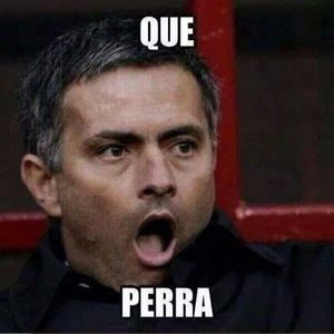 Meet your Posher, Pablo